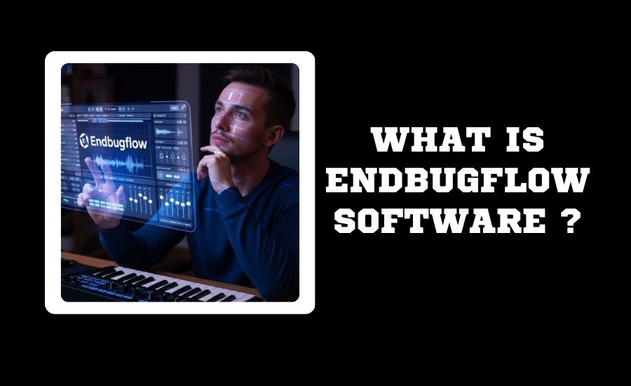 Endbugflow Software