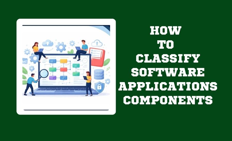 How to Classify Software Applications Components